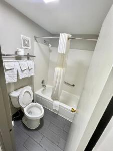a bathroom with a toilet and a shower and a tub at Days Inn by Wyndham Athens in Athens