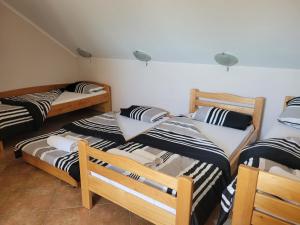 Bački Monoštor的住宿－Koba，一间设有三张双层床的客房