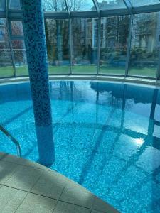 Bazén v ubytování Avangard Resort nebo v jeho okolí
