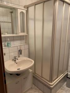 a bathroom with a sink and a shower at Apartment am Goethe Park in Jena