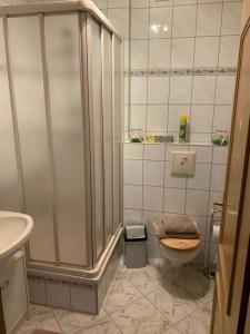 ein Bad mit einer Dusche, einem WC und einem Waschbecken in der Unterkunft Apartment am Goethe Park in Jena