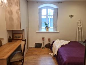 利耶帕亞的住宿－Barinu apartment，一间卧室设有紫色的床和窗户