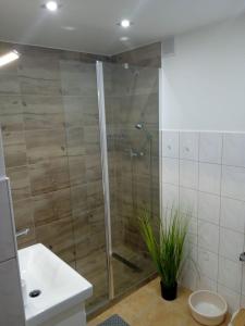 a bathroom with a shower and a toilet and a sink at Mieszkanie Reymonta in Krynica Zdrój