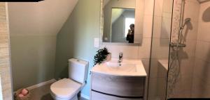 a bathroom with a sink and a toilet and a mirror at Les chambres du Vert Galant "Coucher de soleil" in Verlinghem