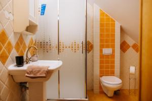 een badkamer met een douche, een wastafel en een toilet bij Apartamenty Fabryka Naleśnika in Kazimierz Dolny