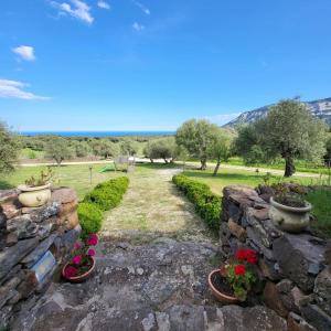 a stone retaining wall with flowers and plants at Agriturismo Su Barcu in Cala Gonone