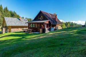 una casa en una colina con césped con un banco delante en Holiday house Pokljuka - Bohinj, en Koprivnik v Bohinju