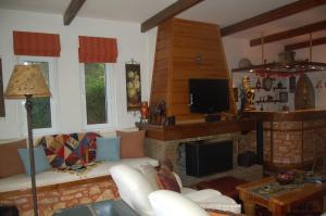 a living room with a couch and a fireplace at Villa sul Mare in Chalkida