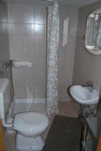 uma casa de banho com um WC, um lavatório e um chuveiro em Holiday house Pokljuka - Bohinj em Koprivnik v Bohinju