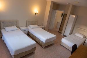 Gallery image of Arden Hotel in Didim +53 photos