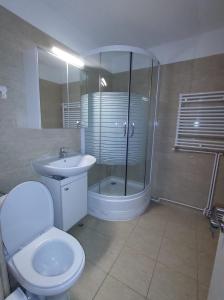 La salle de bains est pourvue de toilettes, d'une douche et d'un lavabo. dans l'établissement Nelly's Home, à Pucioasa