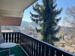 Nespecifikovaný výhled na hory nebo výhled na hory při pohledu z apartmánu