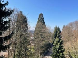 Příroda nedaleko apartmánu