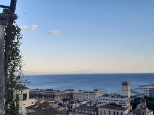 Vue sur une ville avec l'océan en arrière-plan dans l'établissement Salerno Eremita Apartment, à Salerne