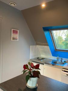 a kitchen with a sink and a vase with a plant at A proximité des plages Normandes in Cairon