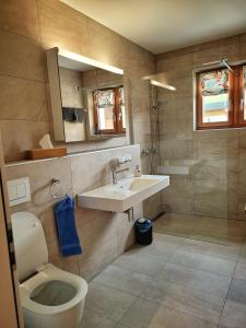 uma casa de banho com um lavatório, um WC e um espelho. em Brunnematta em Ernen