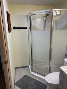 a bathroom with a shower with a toilet and a sink at Loft , boat dock, 2 bedrooms , pet friendly in Gravois Mills