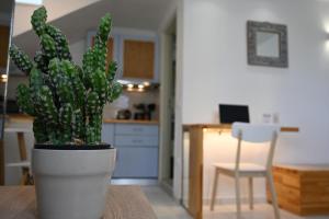 Kuchyň nebo kuchyňský kout v ubytování Marika Studios & Apartments