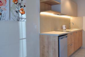 A kitchen or kitchenette at Villa Vasilis