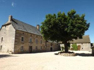 ein großes Steingebäude mit einem Baum davor in der Unterkunft La maison de gilbert in Chaudes-Aigues