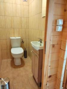 a bathroom with a toilet and a sink at Pod Bercem in Solina +28 photos