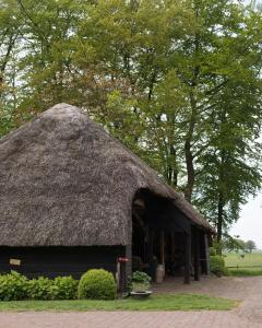 a hut with a thatched roof in a field at B&B Buitenplaats Natuurlijk Goed in Oosterwolde