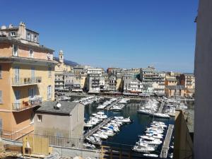 un grupo de barcos atracados en un puerto en Bella vista, en Bastia