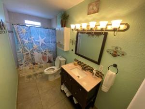a bathroom with a sink and a toilet and a mirror at Susan and Ledif's Tropical Hideaway in Greenacres City +9 photos