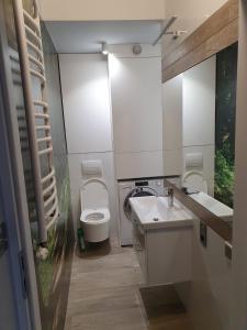 a bathroom with a toilet and a sink and a mirror at Apartament Hania in Tykocin