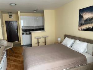 a bedroom with a large bed and a kitchen at Trident Apartments 2 in Niš