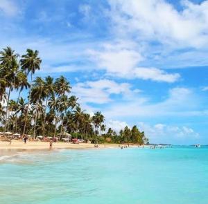 uma praia com palmeiras e pessoas na água em Aconchego em Maragogi