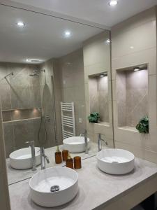 La salle de bains est pourvue de 2 lavabos et d'un grand miroir. dans l'établissement MM Greenhouse Appartement / Tourcoing - Lille, à Tourcoing
