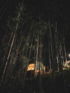 a view of a tent at night with trees at Domos Sup3r López in Pesca