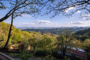 ポッチェトルテクにあるHiška pod Rudnico 2の家から山々の景色 +7枚の写真