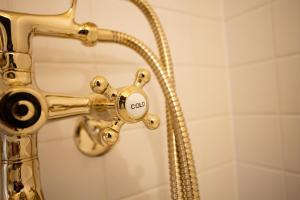 a gold shower faucet in a bathroom at LifeStyleHotel ichi一棟貸切りホテル in Kochi