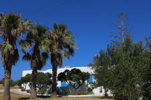 Fotografia z galérie ubytovania Fragos Apartments v destinácii Santa Maria