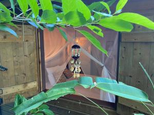 a room with a bed with a lamp and a plant at Rêve Et Alizé in Bouillante