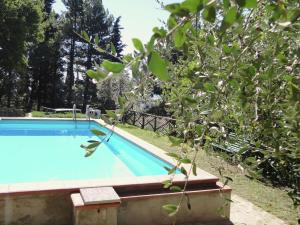 uma piscina num quintal com uma árvore em Belvilla by OYO Flat in farmhouse with pool em Pian di Scò