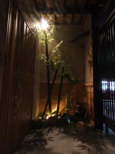 a plant in a room with a light on the wall at villa-rizo古川 in Hida