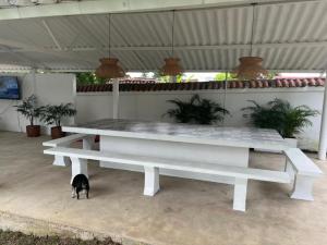 a black dog standing next to a white bench at Villa Tarek in Carmen de Apicalá