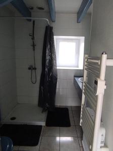 La petite salle de bains est pourvue d'une douche et d'une fenêtre. dans l'établissement Le gîte de ty stumo1, à Neulliac