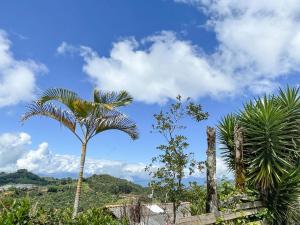 een palmboom voor een blauwe lucht bij Casa Los Patios in Jericó