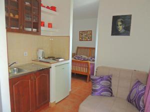 a kitchen and a living room with a couch at Villa Seka in Budva