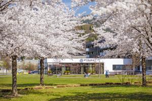 Сад в Asia Hotel & Spa Leoben