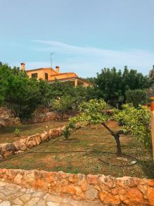 a tree in a yard with a house in the background at Villa La Torreta REF 056 in Castellón de la Plana