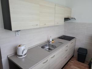 Kuchyň nebo kuchyňský kout v ubytování Apartmán ROŽŇAVA