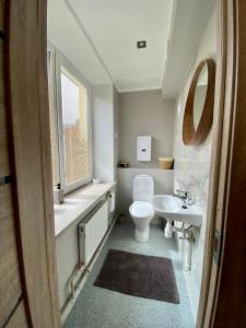 a bathroom with a toilet and a sink and a mirror at Apartments in Dobele city center - Pilsētas Māja in Dobele