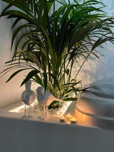 una maceta sentada en un estante junto a una planta en Mythos Luxury Suite, en Naxos Chora