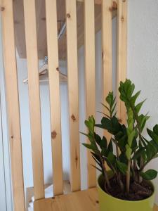 a potted plant sitting on top of a wooden chair at Marabou Hotel Chorefto in Chorefto