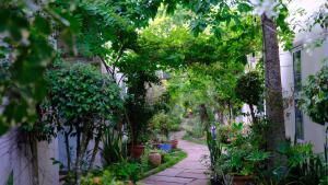 a garden with trees and plants on a walkway at Vila Basi in Nguyệt Hạng